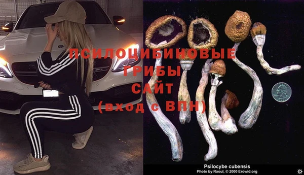 дмт Саяногорск