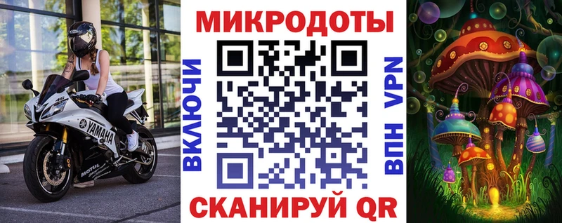 Галлюциногенные грибы Psilocybine cubensis  Удомля 